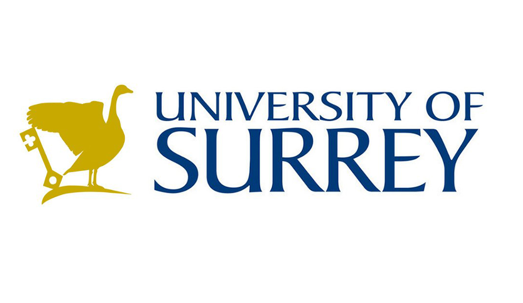 university of surrey